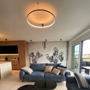 Plafon Ring L czarny LED CCT