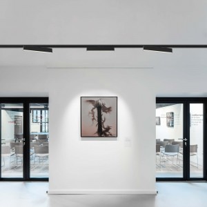 Reflektor do szynoprzewodów Moon 1F czarny LED 3000K