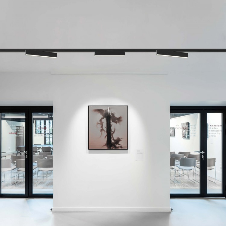 Reflektor do szynoprzewodów Moon 1F czarny LED 3000K - 3774