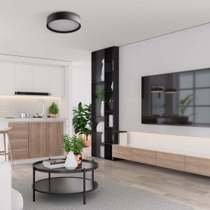 Plafon Hudson czarny LED 3000K