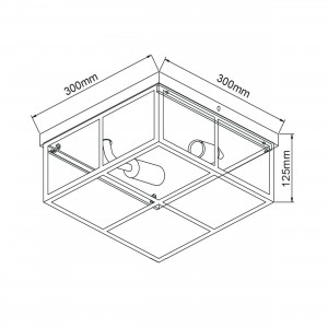 Plafon Monza srebrny 2xE14