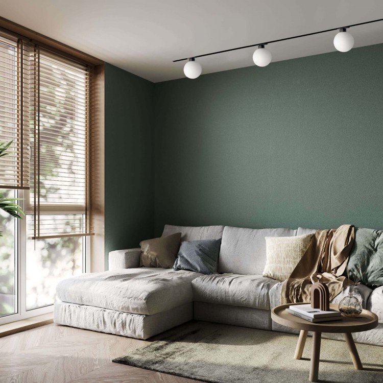 Reflektor do szynoprzewodów Bola 1F czarny 1xG9 - 4909